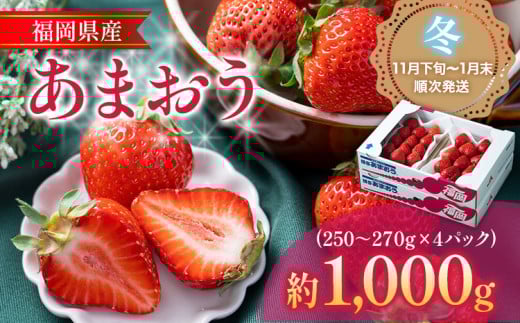 福岡産【冬】あまおう 4パック 合計約1000g〜1080g 約1kg (1パックあたり約250g〜約270g) いちご 苺 果物 フルーツ 九州産 福岡県産 冷蔵 【11月下旬発送開始予定】福岡県志免町22000果物・フルー