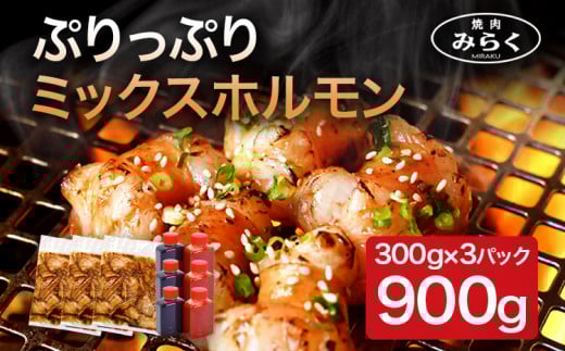 焼肉みらく ミックス ホルモン 約900g 冷凍 牛ホルモン 焼き肉 お肉 ほるもん 味付き肉 味付け肉 味付き 九州産 福岡県志免町22000肉牛肉