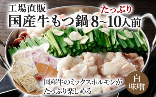 国産牛もつ鍋(白味噌味) 工場直販 たっぷり8〜10人前  お取り寄せグルメ お取り寄せ 福岡 お土産 九州  福岡土産 取り寄せ グルメ  福岡県福岡県志免町19000鍋セット・総菜・加工食品カレー・