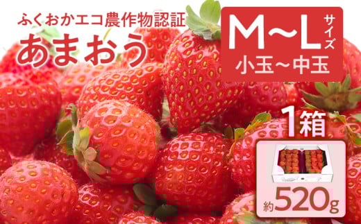 ふくおかエコ農作物認証あまおう M〜Lサイズ 1箱セット あまおう イチゴ 苺 いちご フルーツ 果物 くだもの 福岡県産 お取り寄せグルメ お取り寄せ 福岡 お土産 九州 福岡土産 取り寄せ グル