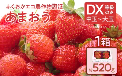 ふくおかエコ農作物認証あまおう DX等級のみ 1箱セット あまおう イチゴ 苺 いちご フルーツ 果物 くだもの 福岡県産 お取り寄せグルメ お取り寄せ 福岡 お土産 九州 福岡土産 取り寄せ グル