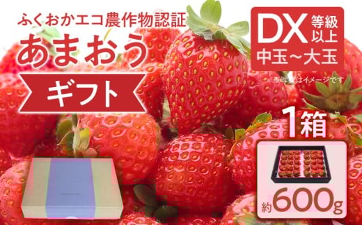 ふくおかエコ農作物認証あまおう ギフト DX等級以上 1箱セット あまおう イチゴ 苺 いちご フルーツ 果物 くだもの 福岡県産 お取り寄せグルメ お取り寄せ 福岡 お土産 九州 福岡土産 取り寄