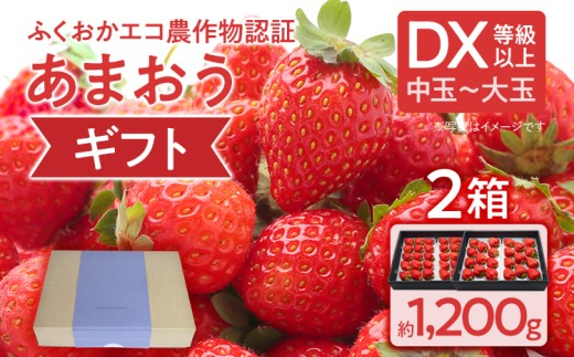 ふくおかエコ農作物認証あまおう ギフト DX等級以上 2箱セット あまおう イチゴ 苺 いちご フルーツ 果物 くだもの 福岡県産 お取り寄せグルメ お取り寄せ 福岡 お土産 九州 福岡土産 取り寄