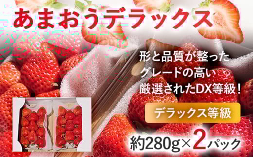 【2026年発送先行予約】あまおうデラックス(約280g x2パック) お取り寄せグルメ お取り寄せ 福岡 お土産 九州 福岡土産 取り寄せ グルメ 福岡県福岡県志免町12000果物・フルーツいちご