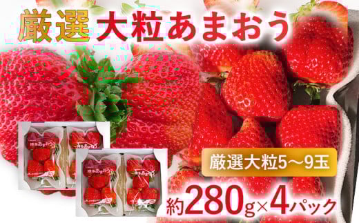 y2026Ns\zI嗱܂(280g x 4pbN) 񂹃O   yY B yY  O uƒ17000ʕEt[c
