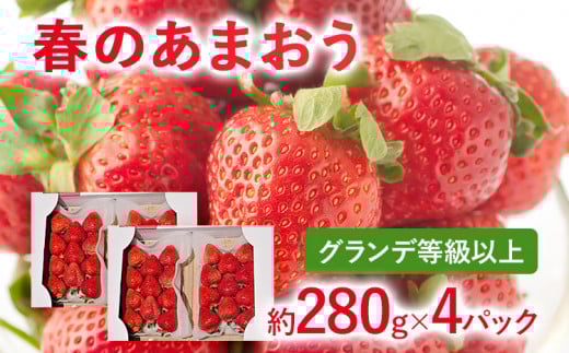 【2026年先行予約】春のあまおう(G規格以上約280g x 4パック) お取り寄せグルメ お取り寄せ 福岡 お土産 九州 福岡土産 取り寄せ グルメ 福岡県福岡県志免町13000果物・フルーツいちご