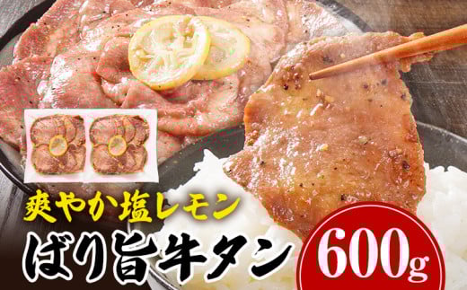 ^  ybp[    ΂|^ XCX v600g 300g×2pbN ^ ^  ē Ă I BBQ Ⓚ Hi _炩 t AEghA o[xL[ 