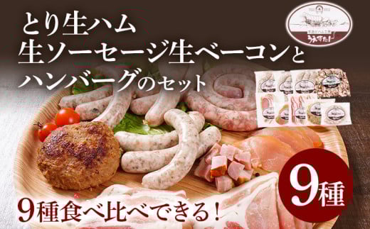 とり生ハム 生ソーセージ 生ベーコン ハンバーグのセット (Hセット) 生ハム 生ウィンナー ベーコン ハンバーグ 手作り うえすたん セット 詰め合わせ 福岡県 志免町福岡県志免町23000肉加