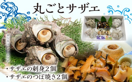 丸ごとサザエ さざえ 栄螺 貝 魚介 海鮮 刺身 つぼ焼き サザエ サザエの刺身2個 サザエのつぼ焼き2個 玄界灘 福岡 冷凍 お取り寄せ 海産物 さしみ 刺し身 グリル 殻付き レンジ おつまみ