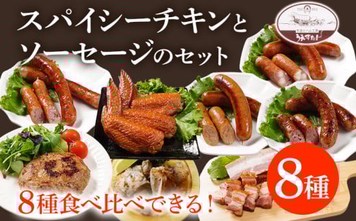 スパイシーチキンとハンバーグ12個手羽先とソーセージ4種のセット(Mセット) ウィンナー チキン ベーコン ハンバーグ 手羽先 燻製 スモーク チーズ カレー ペッパーレモン ポーク あらびき