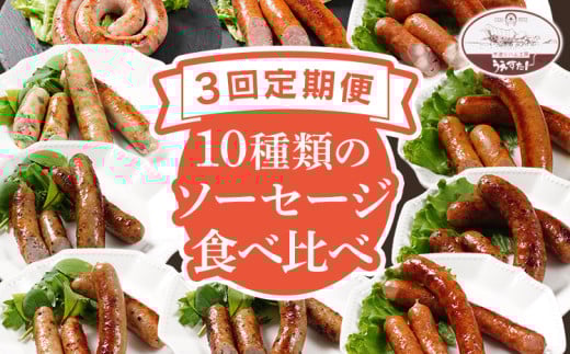 【定期便】手造りウィンナー 食べ比べ 10種類 Oセット×3回 ウィンナー ソーセージ チーズ あらびき ペッパー 餃子 ガーリック 生ウィンナー うえすたん セット 食べ比べ 詰め合わせ バラエ