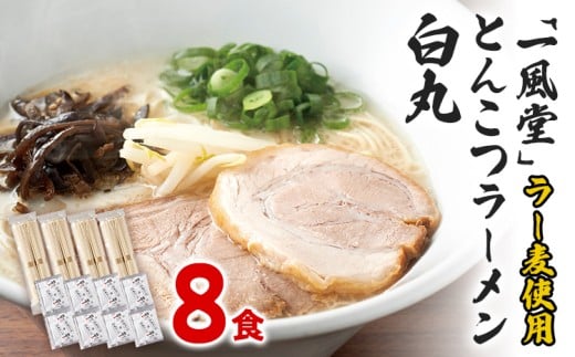 ラー麦使用 「一風堂」 とんこつ ラーメン 白丸 (8食) 豚骨ラーメン ストレート麺 お取り寄せグルメ お取り寄せ 福岡 お土産 九州 ご当地グルメ 福岡土産 取り寄せ グルメ 福岡県 食品福岡県
