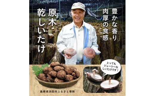 山陰浜田の特産「特選原木乾しいたけ」 椎茸 乾物 干し 乾燥しいたけ きのこ 原木栽培 原木椎茸 原木しいたけ 肉厚しいたけ 【010_1940】島根県浜田市19000野菜・きのこきのこ