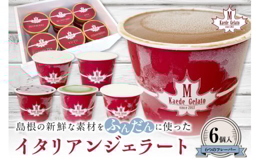 島根の新鮮な素材をふんだんに使った「イタリアンジェラート」(6個入) アイスクリーム 人気 スイーツ イタリアンジェラート お菓子 アイス ミルク チョコ 抹茶 苺 ギフト ご褒美 【003_064