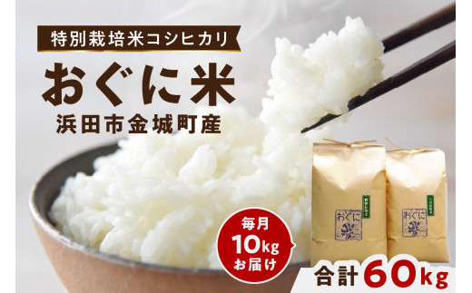 【定期便】【先行予約】【令和7年産】浜田市金城町産コシヒカリ「おぐに米」10kg定期便(6回コース) 定期便 10キロ 6回 米 お米 こしひかり 白米 特産品 お取り寄せ 精米 小分け 【071_2071】