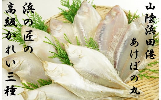 ڂ̊ۂƕl̏鍂ꂢ3銱Zbg     銱 JC 䒆 Ε Mtg 蕨 Zbg  y146_2020zlcs20000ECY̑