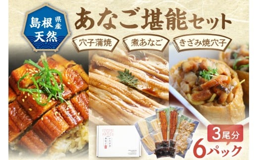 浜田のあなご堪能セット 時短 穴子 魚介類 魚貝類 海の幸 蒲焼 簡単調理 レンジでチン 湯煎 小分け セット 詰め合わせ 【156_2011】島根県浜田市23000魚介・海産物うなぎ