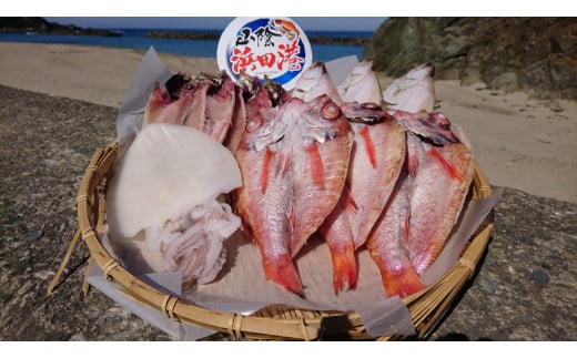 しまね浜田の美味しいのどぐろ あじ カレイ 白いか 一夜干しセット 魚介類 魚貝類 魚 干物 干もの 一夜干し おかず つまみ セット 詰め合わせ アカムツ【161_1707】島根県浜田市19000魚介・海