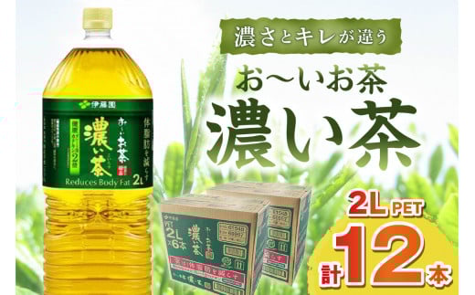 お〜いお茶 濃い茶PET 2L 6本入り×2ケース 計12本 伊藤園 お茶 ペットボトル セット ドリンク 飲料 備蓄 伊藤園 濃い茶 新生活 応援 準備【114_2077】島根県浜田市13000お茶・飲料お茶