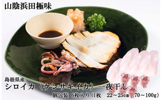 山陰浜田極味 訳あり シロイカ(ケンサキイカ)一夜干し 6枚 一夜干し 干物 ひもの いか 剣先いか 真いか 白いか 真空 冷凍 干物 【164_1835】島根県浜田市16000魚介・海産物干物