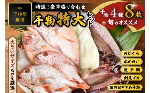 IIIؐ荇킹􊱕Zbg  L   Zbg Zbg ̂ǂ mhO JC ꂢ @q CJ  AJc y033_1778zlcs23000EC