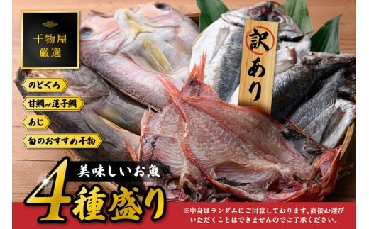 y󂠂itz4퐷   荇킹 lߍ킹 Zbg ̂ǂ AJc @q AW  y176_1784zlcs13000ECY