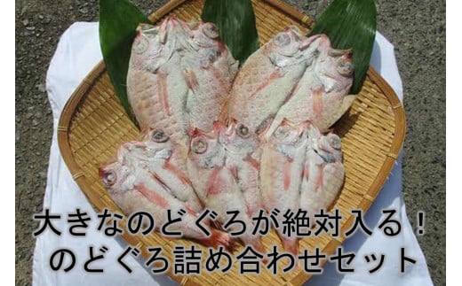 傫Ȃ̂ǂ낪ΓÎǂlߍ킹Zbg ̂ǂ   ܂ e Ղ ̂ǂ AJc  y176_1782zlcs26000ECY