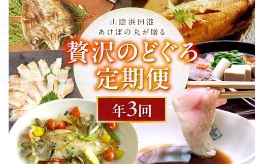 山陰浜田港あけぼの丸が贈る贅沢のどぐろ定期便(3回)魚介 のどぐろ アカムツ 一夜干し 刺し身 のどぐろしゃぶセット セット しゃぶしゃぶ 定期便 定期 3回 【146_2033】島根県浜田市93000魚