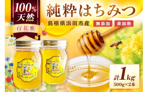 水のきれいな浜田市金城町産「いわみの里山 純粋はちみつ」500g×2本 蜂蜜 ハチミツ 百花蜜 瓶 【184_1904】島根県浜田市22000鍋セット・総菜・加工食品ジャム・はちみつ