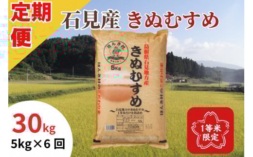 【令和7年産】【定期便】石見産きぬむすめ30kg(5kg×6回コース)<2025年10月14日より順次発送>きぬむすめ 定期便 お米 お取り寄せ 特産 精米 白米 ごはん ご飯 コメ 新米 玄米 一等米 【197_195