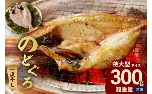 のどぐろ一夜干し個包装1枚 「超希少サイズ・特大型300g超重量」 <10月以降順次発送>アカムツ 産地直送 干物 魚 一夜干し 人気 大きい 天然 ボリューム ノドグロ 【005_0130】島根県浜田市230
