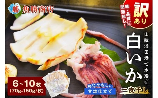 【訳アリ】白いか一夜干し (70g〜150gx6〜10枚) 訳アリ 小分け いか 白いか 無添加 個包装 一夜干し 産地直送 【136_1984】島根県浜田市12000魚介・海産物イカ・タコ・ウニ