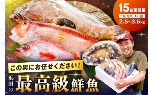 【定期便】どんちっち浜田【極上】の鮮魚 15回〜最高級この男シリーズ〜 海鮮 魚 鮮魚 詰め合わせ セット【006_2053】島根県浜田市3334000魚介・海産物干物