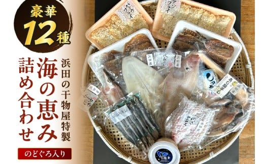 【豪華12種】浜田の干物屋特製・海の恵み詰め合わせセット(のどぐろ入り) 【025_0442】島根県浜田市22000魚介・海産物干物