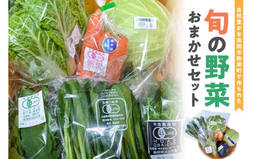 自然豊かな浜田市弥栄町で作られた「旬の野菜おまかせセット」 野菜 野菜セット 旬 詰め合わせ セット おまかせ おたのしみ ギフト 【065_0493】島根県浜田市10000野菜・きのこその他 野菜