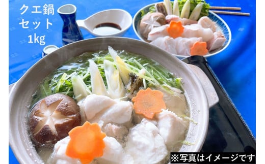 幻の天然物 クエ鍋セット 1kg <11月からお届け> クエ くえ 魚介類 魚貝類 鍋セット ご当地グルメ 海鮮 ポン酢 【087_0242】島根県浜田市93000鍋セット・総菜・加工食品カレー・シチュー