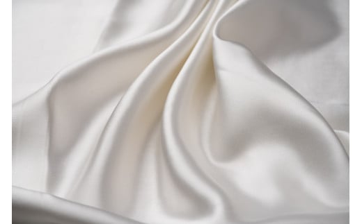 005-008@VN silkTo@VV ʌgs5000G݁EpiQE^I