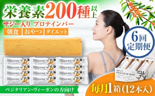 【6回定期便】サジープロテインバー 1箱 サジーとソイプロテインの低糖質バー 動物性不使用 保存料不使用 毎日の栄養バランス サジープロテインバー 豆 栄養食 朝食 岐阜市 / 宝島ジャパン