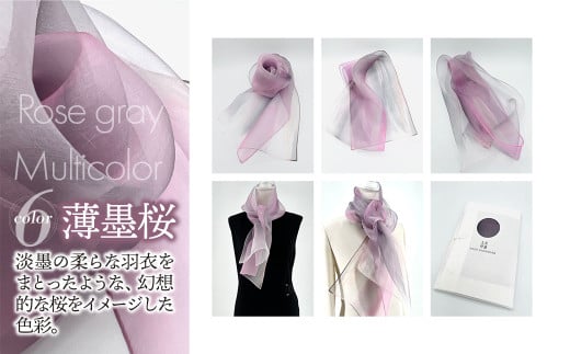 ZFTNAOE KAWAMURA XJ[t 9FIׂ VN   򕌎s/͑]fUC [ANDE001]򕌌򕌎s50000ߗށEiEH|ȋ iEH|i