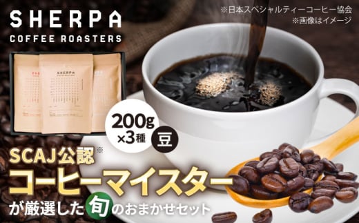R[q[ SHERPA COFFEE ROASTERS G߂̂߂܂Zbg 200g×3pbN  ݕ hN 蓤 򕌎s /  [ANGC004]򕌌򕌎s26000ER[q[Eg