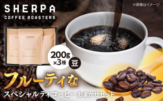 R[q[ SHERPA COFFEE ROASTERS t[eBȍ܂Zbg 200g×3pbN? ݕ hN 蓤 򕌎s /  [ANGC006]򕌌򕌎s29000ER[q[Eg