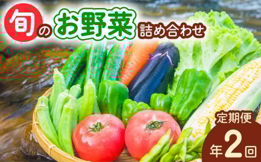 【定期便年2回】阿波の国海陽町 旬のお野菜詰め合わせセット 8〜12品×2回 野菜 定期便 野菜定期便 年2回 徳島県 海陽町産 野菜セット 詰め合わせ 4-5名様以上 向け 季節の野菜 やさい 産地直