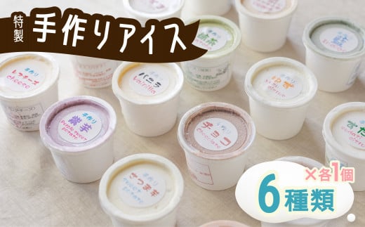 海陽町特製アイス ユニークな味6種類セット!  アイスクリーム 6種類 海陽町特製 自家製  詰め合わせ アイス バニラアイス 抹茶 セット 手作り 母の日徳島県海陽町7000菓子・スイーツアイ