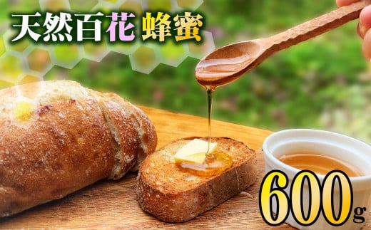 天然百花蜂蜜 600g はちみつ 天然百花蜂蜜 600g 蜂蜜 ハチミツ 国産 天然 百花徳島県海陽町20000鍋セット・総菜・加工食品ジャム・はちみつ