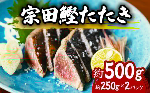 ヒラソウダ たたき 約500g 約250g×2パック 鰹 カツオ かつお 宗田鰹 宗太鰹 ソウダガツオ そうだがつお  冷凍徳島県海陽町17000魚介・海産物鮮魚