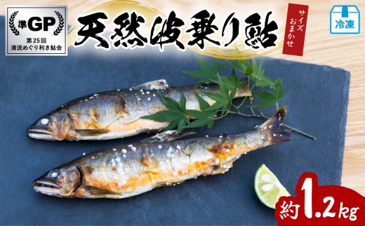 VRg舼 1.2kg TCY܂ 8`24  VR 1.2kg  A VR  C 싛 ⓀCz37000ECYN