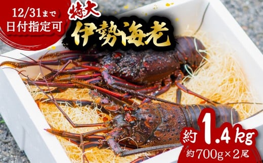 伊勢海老 特大 約1.4kg 約700g×2尾 伊勢えび 伊勢エビ いせえび イセエビ 海老 えび エビ 海鮮 海産物 海の幸 おせち 高級 国産 海鮮 ギフト徳島県海陽町45000魚介・海産物エビ