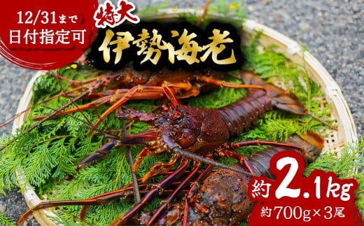 ɐCV  2.1kg 700g×3 ɐ ɐGr  CZGr CV  Gr CN CY C̍K   Y CN MtgCz65000ECYGr