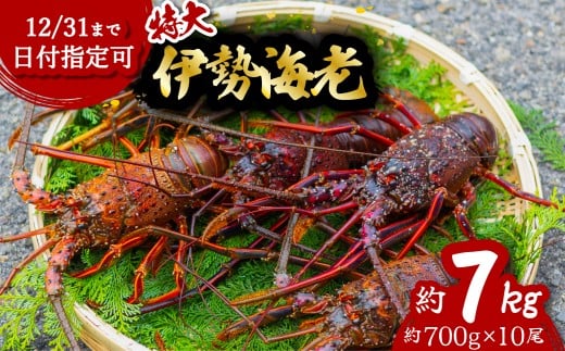 伊勢海老 特大 約7kg 約700g×10尾 伊勢えび 伊勢エビ いせえび イセエビ 海老 えび エビ 海鮮 海産物 海の幸 おせち 高級 国産 海鮮 ギフト徳島県海陽町207000魚介・海産物エビ