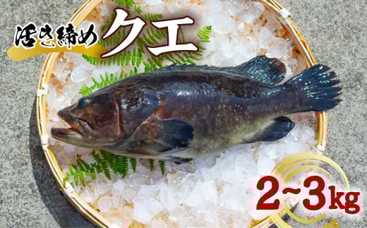 NG  2`3kg {NG A N NG   Yn ① {B Y GCz60000ECYN